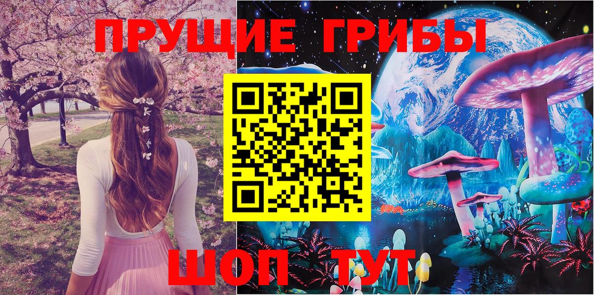 Иваново  Псилоцибиновые грибы Cubensis  Галлюциногенные грибы прущие грибы  Вход с VPN 